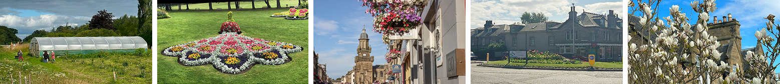 Field research strip showing gardens and floral displays in Forres