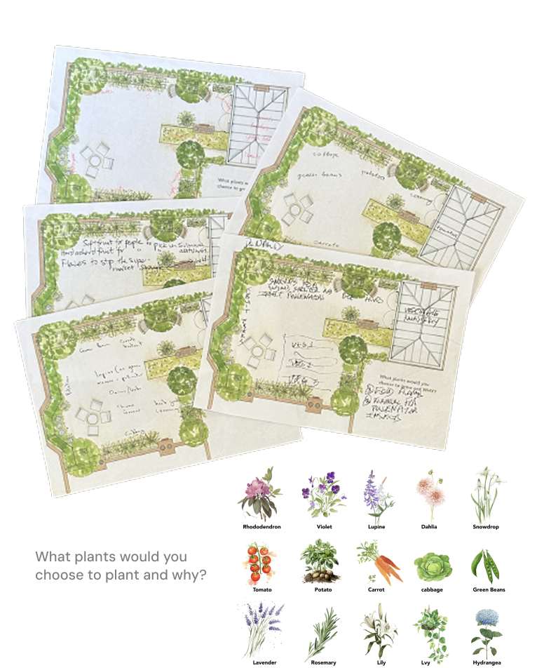 Ideal garden design workshop sheets and plant cards