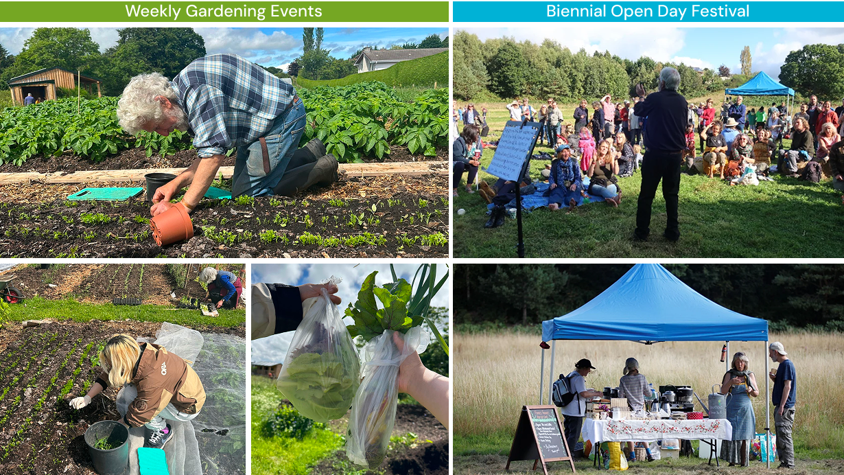 Participatory observation collage showing weekly gardening events and open day festival