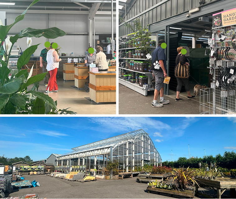 Interview field photos at Mackenzie and Cruickshank garden centre.